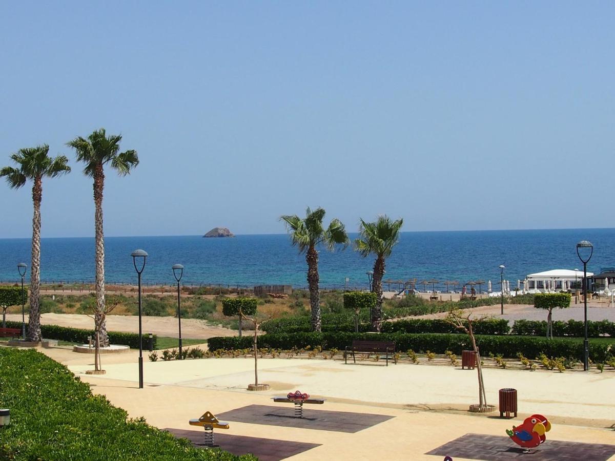 Azaleas San Juan de los Terreros