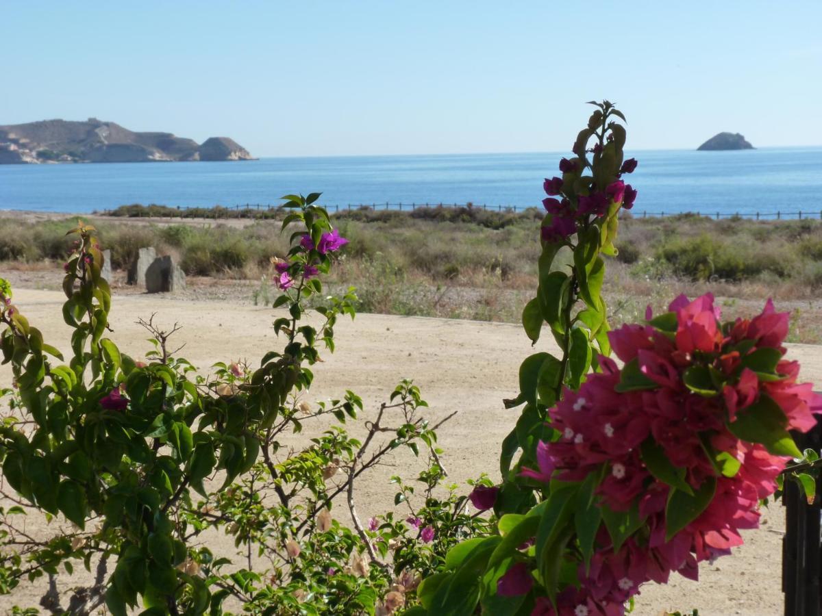 Apartment Azaleas San Juan De Los Terreros